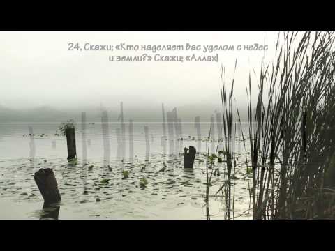 Мансур Мухиддин (Mansoor