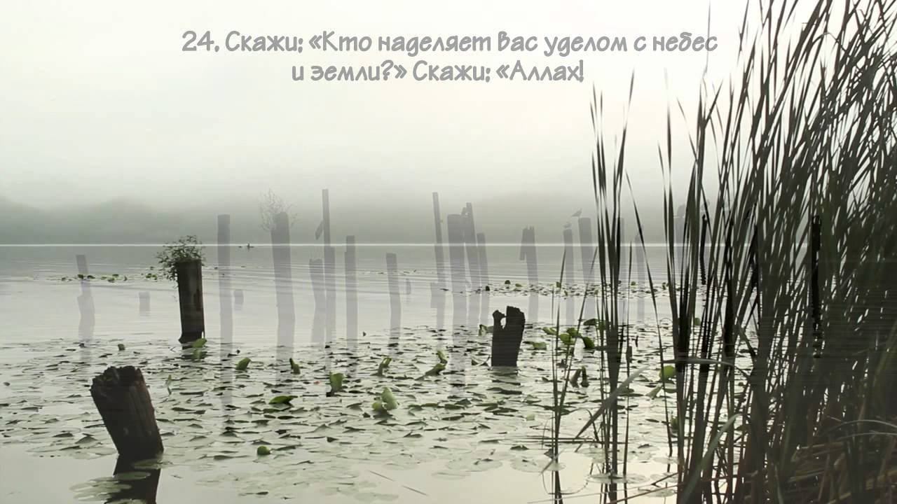 Мансур Мухиддин (Mansoor Mohiddine). Сура 