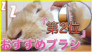 【うさぎ飼い必見】換毛期対策におすすめブラシはこれ！第2弾