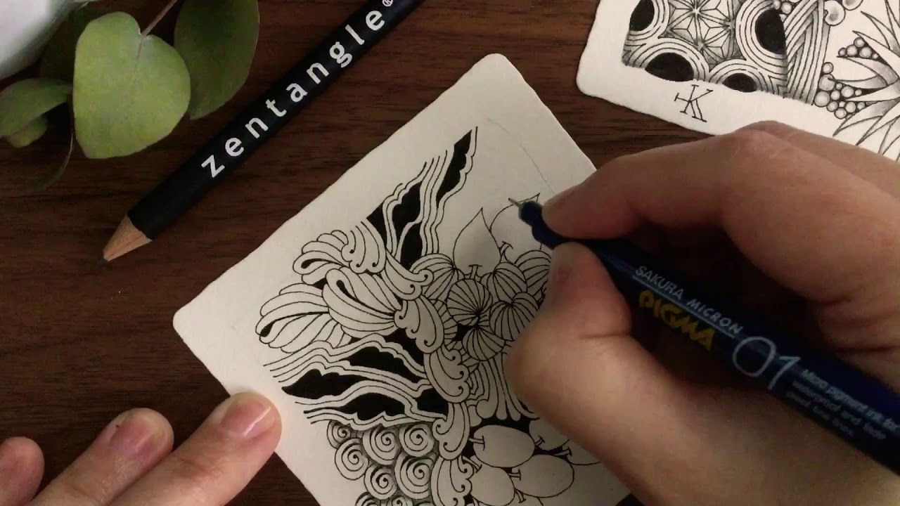 How To Draw Poke Leaf 初心者でも簡単なゼンタングル公式タングルの描き方 Youtube
