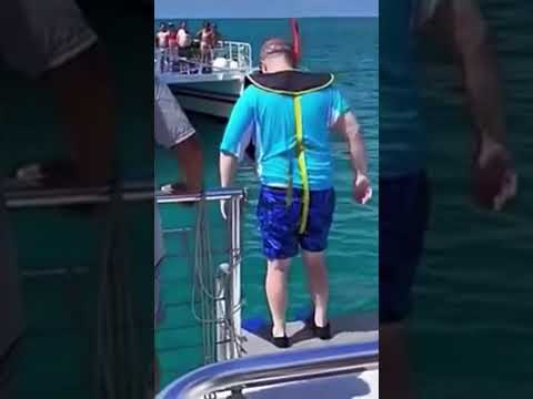 Funny memes I found part: too much to count 💀  #shorts #funny #memes