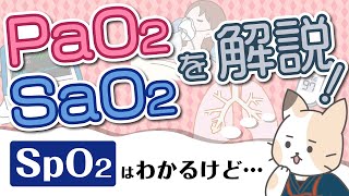 【血ガス】PaO2、SaO2、SpO2を解説！酸素分圧、酸素飽和度について