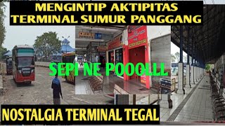 MENGINTIP AKTIFITAS TERMINAL TEGAL (SUMUR PANGGANG) NOSTALGIA TERMINAL TEGAL