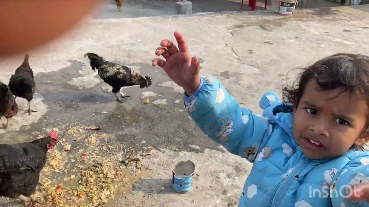 #Ghar Ki murgi dal barabr # Ghar Ki Murgi  ande #longvideo #trevel #Active #hariparwati  