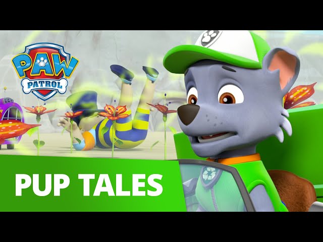 Rocky and Zuma Solve a Stinky Mystery!, PAW Patrol