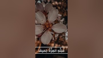 سورة فاطر بصوت الحصري «من كان يريد العزة فلله العزة جميعا اليه يصعد الكلم الطيب والعمل الصالح يرفعه