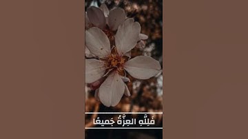 سورة فاطر بصوت الحصري «من كان يريد العزة فلله العزة جميعا اليه يصعد الكلم الطيب والعمل الصالح يرفعه