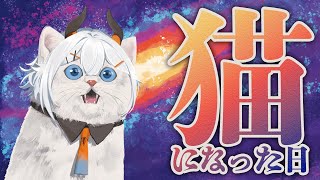 【雑談配信】レヴィ・エリファが猫になってしまったようです【告知もあるヨ】【にじさんじ/レヴィ・エリファ】