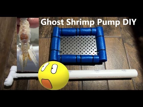 Make a Simple Ghost Shrimp Bait Pump - SkyAboveUs