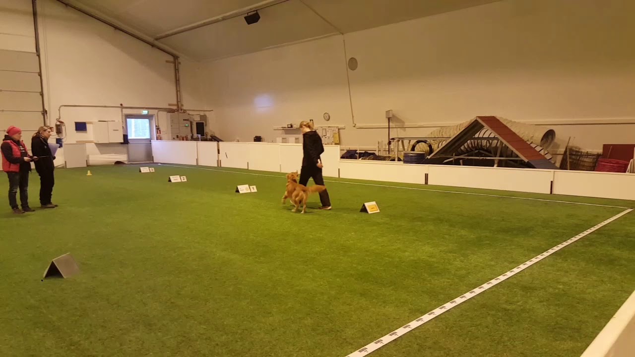 Nova alo 97/100p, 2.sija rally-toko Lohja 29.2.2020