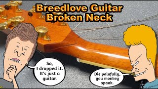 Beautiful 'Broken Neck' Breedlove AD25/SR Plus Aco, Quality design, manufacture, sound. Korean made! screenshot 5