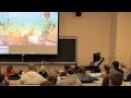 Tele-teaching:  Incorporating Collaboration and Technology to Enhance the Student Experience