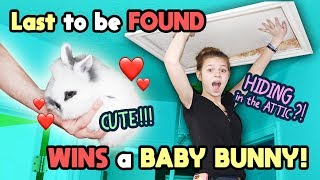 Last to Be Found WINS CUTE BABY BUNNY!! Tannerites Hide and Seek Game! screenshot 4