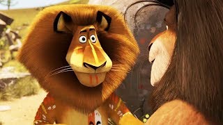 DreamWorks Madagascar em Português | Alex vs Teetsi - A Grande Escapada | Desenhos Animados