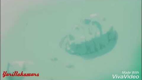 Ghost in the Shell [AMV] King of my castle