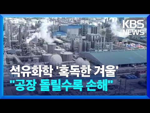 원자잿값 상승에 석유화학업계 먹구름 공장 돌릴수록 손해 KBS 2022 11 24 