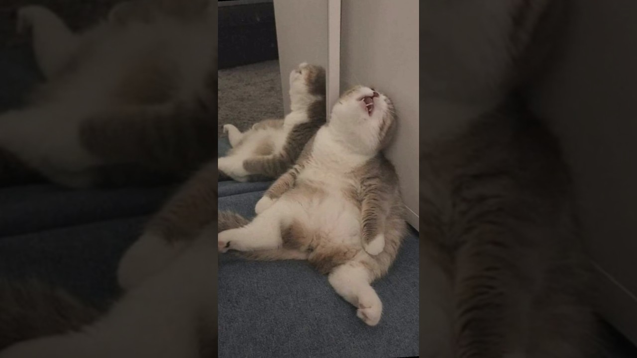 Snoring at Night? Try These Magnetic Nasal Strips 😴 | Amazon Find