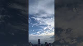 Gimmie Liang引光喚雲2023101901