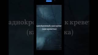 Всех люблю авторское право