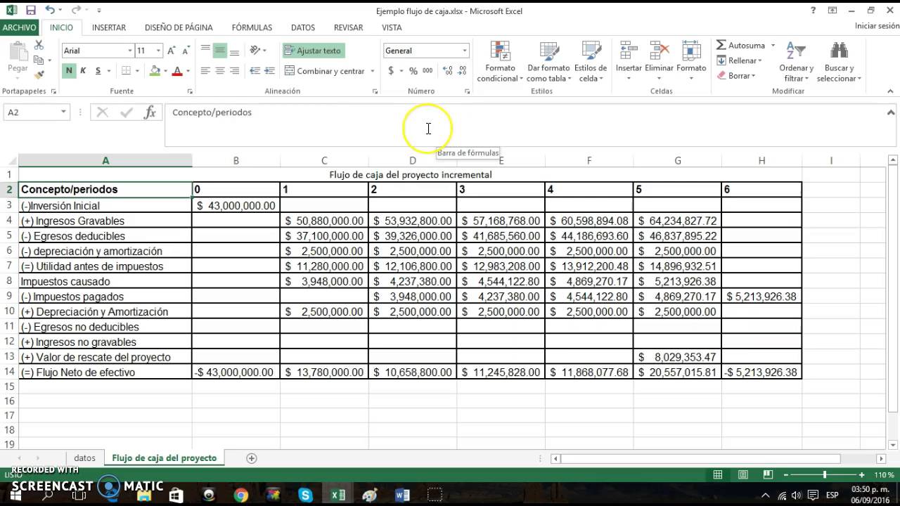 Flujo caja proyecto del