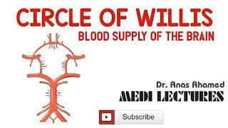 Circle of Willis - Blood supply of the brain (தமிழ்). @medilecturestamil