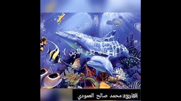 القارئ محمد صالح العمودي يقرأ سورة الفاتحة بالمقام الصنعاني صوت جميل جداً جداً جداً