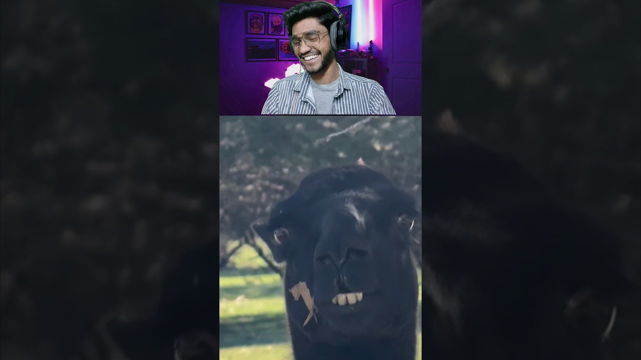 ⁣What Is This 😂 #reactionvideo #funnyreaction #funnyanimals #animalsmeme #reaction