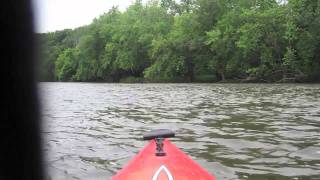 Cedar River Trip