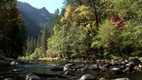 Yosemite Music Video - National Park DVD