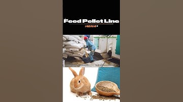 Turnkey 8-12 T/H Animal Feed Pellet Machine for Sale #feedmill #animalfeedmill #feedpelletmachine