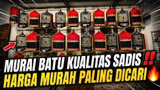 CEK HARGA MURAI BATU TERKINI‼️TROTOL FIGHTER KUALITAS SADIS & PROSPEK LOMBA MURAH MERIAH DI PAMULANG