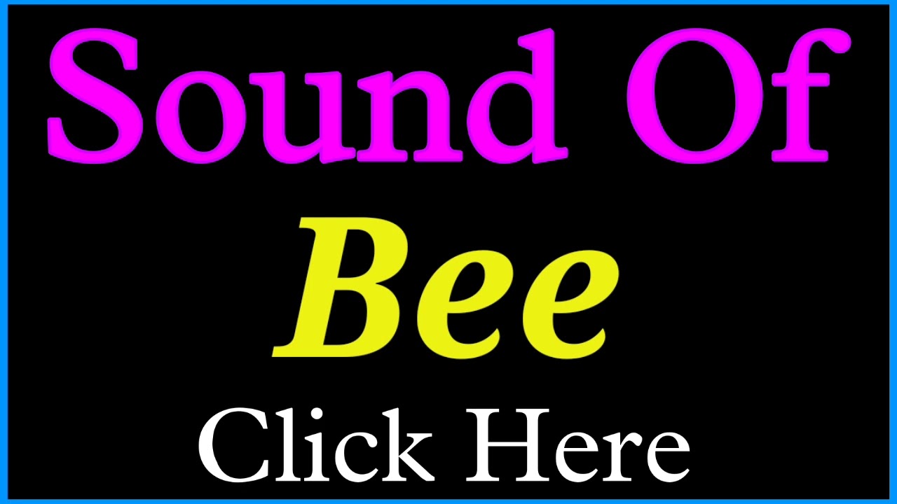 Sound of Bee | Bee ka Sound | Sound of Bee is called | Bee ke awaaz
