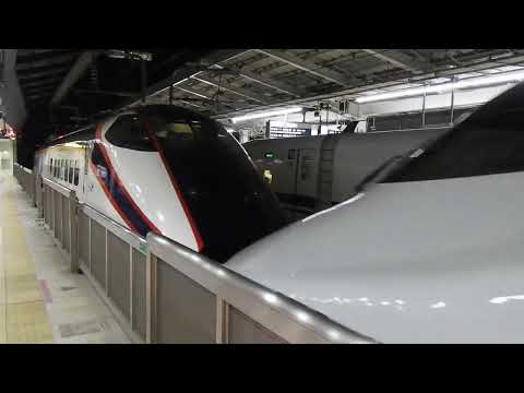 E2系1000番台+E3系2000番台　やまびこ・つばさ156号　東京駅到着