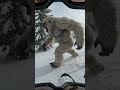You Saw a Yeti