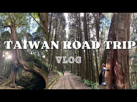 TW Vlog #29︱環島(下) 阿里山二萬平森林步道🛤親身體驗鹿港的風💨(真的瘋...