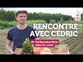 Légumes en direct du producteur - Cédric Joliveau, la Ferme Multiproductions