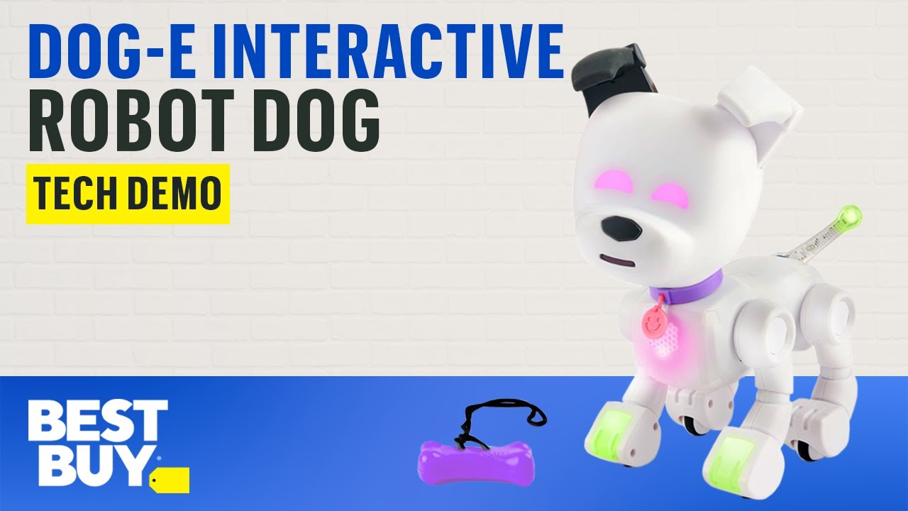Meet Your One-in-a-Million Best Friend with Dog-E Interactive