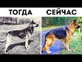 15 Знакомых Всем Вещей, Которые Изменились Со Временем