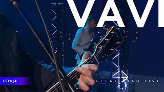 VAVI — ПТИЦА | БЕЛЫЕ СТАИ (LIVE)