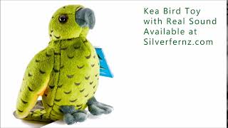 New Zealand Kea Bird Soft Toy With Real Kea Sound