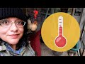 How to Keep CHICKENS ALIVE in WINTER (No One Tells You This!) 🥶🐔🌡