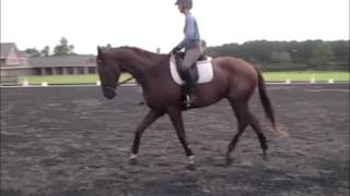 Billy Does The Fancy Prancy