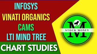 INFOSYS VINATI ORGANICS CAMS AND LTI MINDTREE SHARE ANALYSIS