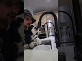 My Dog Doesn't Know how to Drink Water! (FGTeeV Shorts)