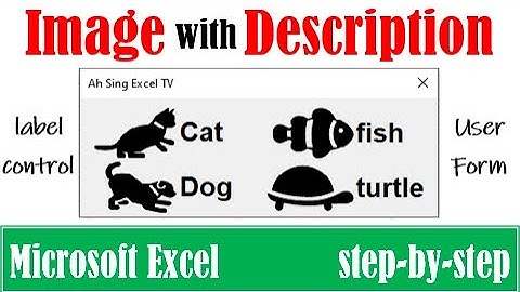 Insert picture with label on UserForm