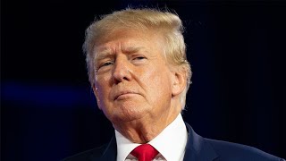 Psychologist: Trump showing signs of gross dementia