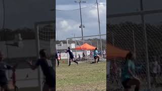 Right Wing goal