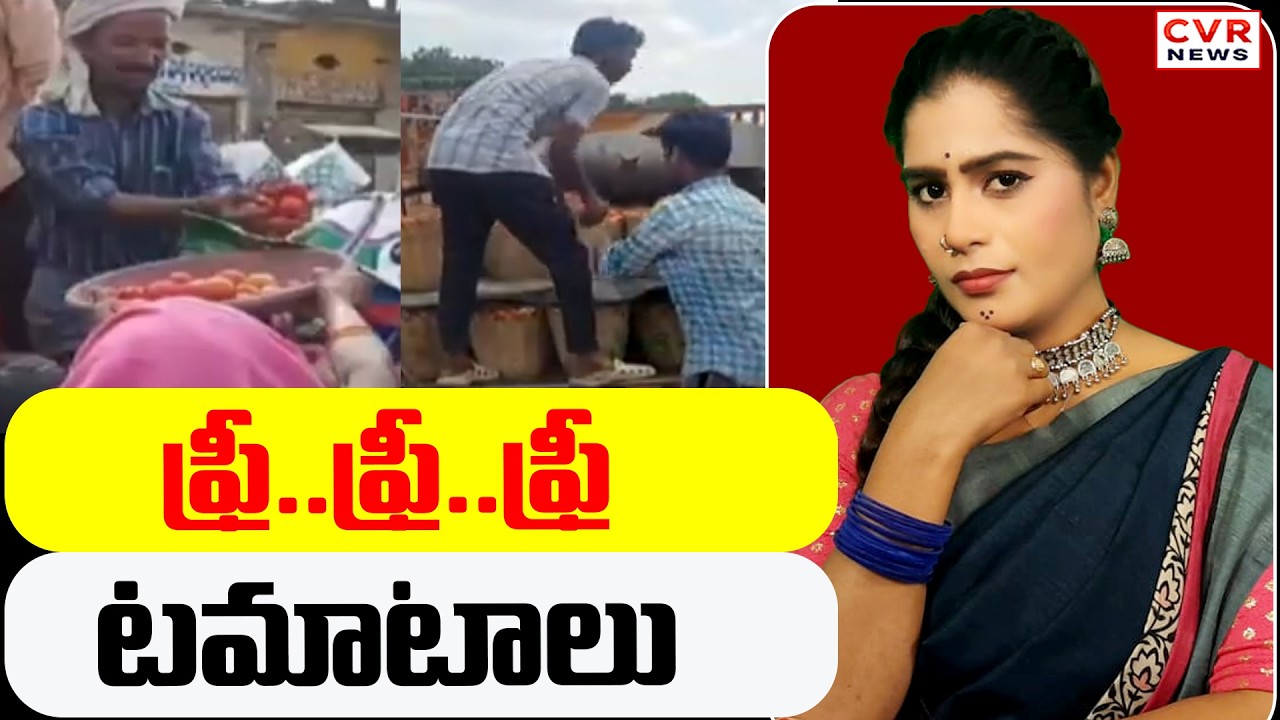 ఫ్రీ..ఫ్రీ..ఫ్రీ  టమాటాలు | Free Tomatoes | CVR News
