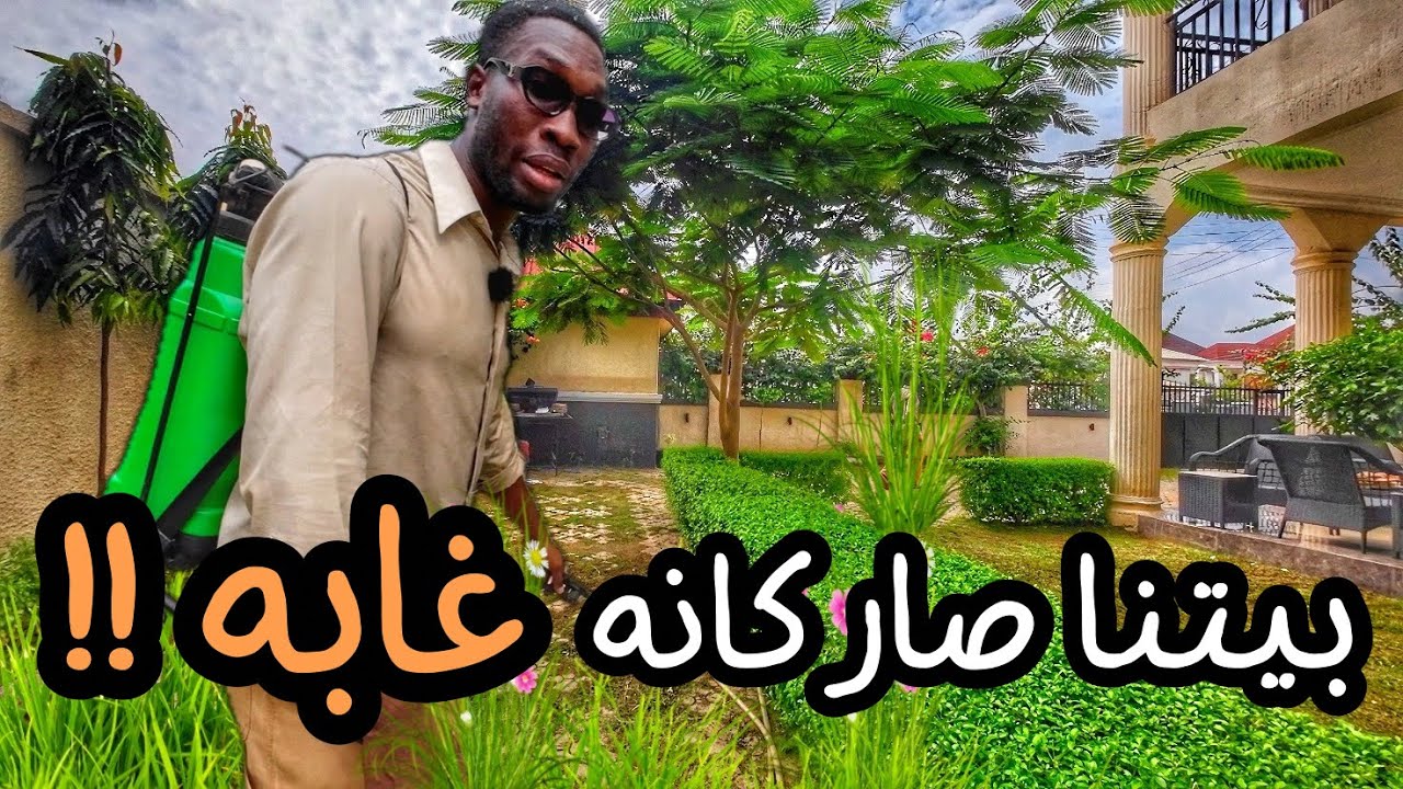 موسم الامطار في نيجيريا حلقت الحشائش ورتبت الحوش