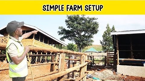 How we Setup 12 Cows and 50 Goats on less than an Acre of Land